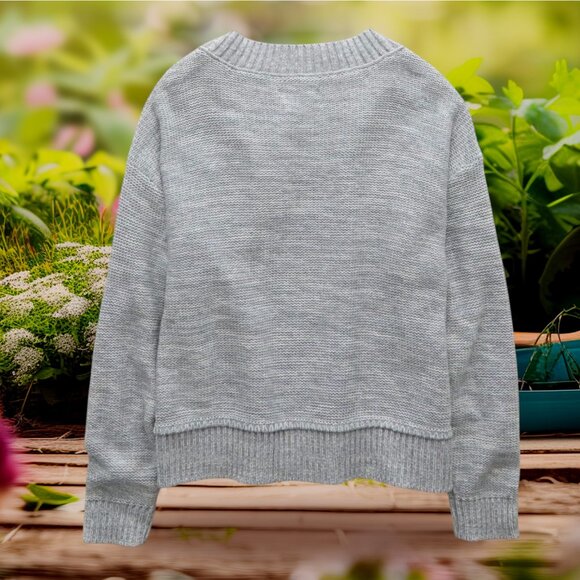NEW!!! AMERICAN EAGLE GRAY V-NECK 100% COTTON SWEATER -- SIZE L - Picture 5 of 7